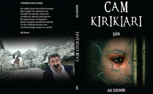 Şair, eğitimci yazar Ali Demir'in ikinci şiir kitabı CAM KIRIKLARI çıktı